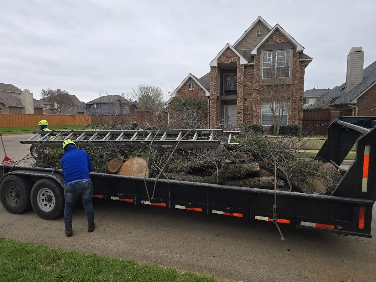 Expert Tree Pest Control with proper safety equipment in Merom